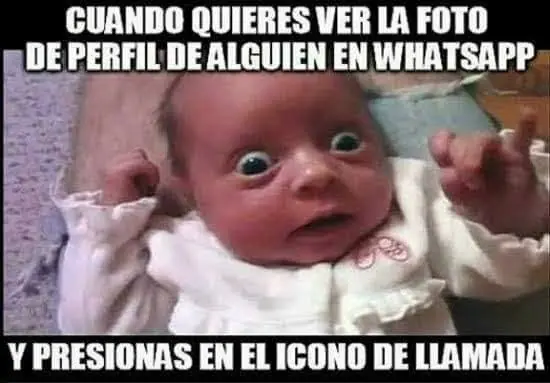 para whatsapp