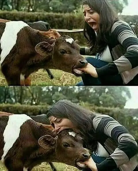humor wtf