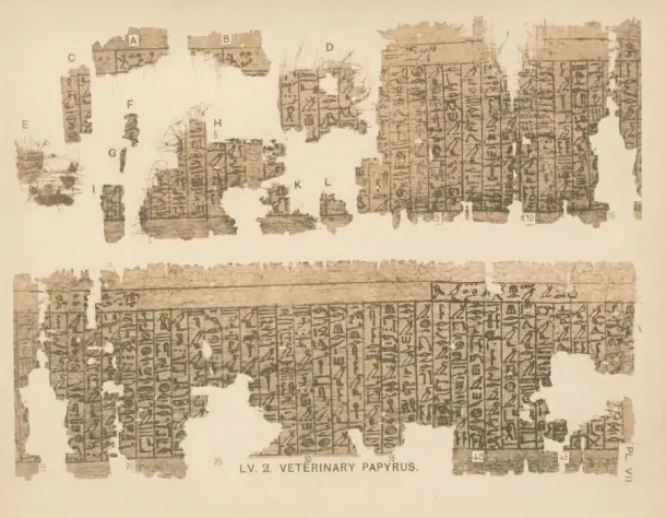 sumeria