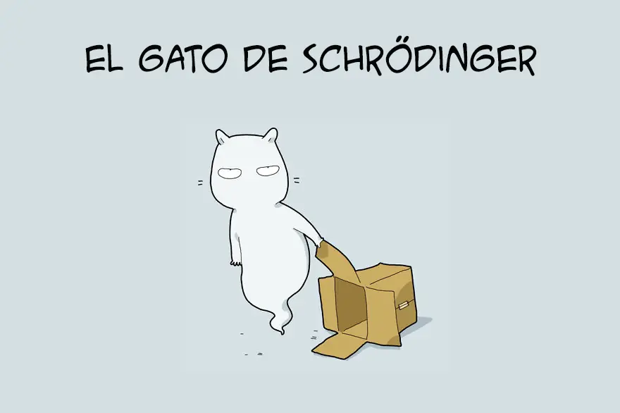 10 tipos