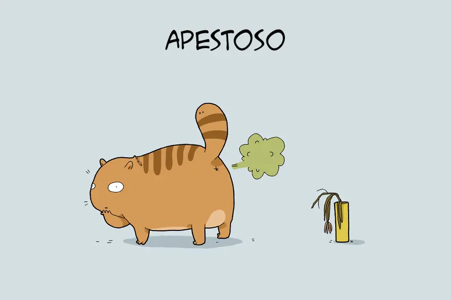 cual es
