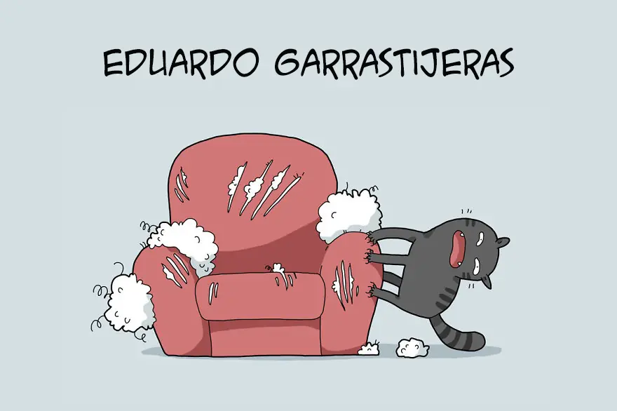 10 tipos