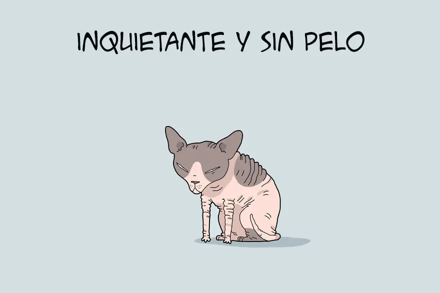 cual es