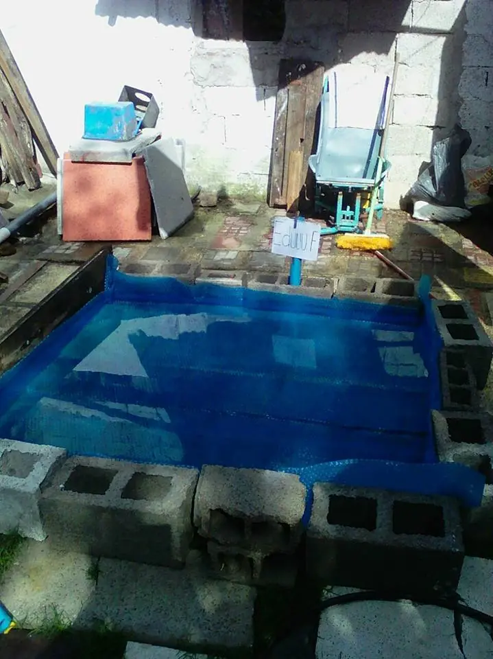 Un día normal en la vida de un taringuero triunfador..