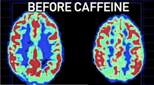 como nos afecta el cafe