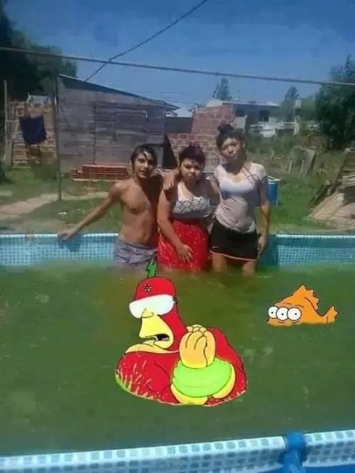 fotos