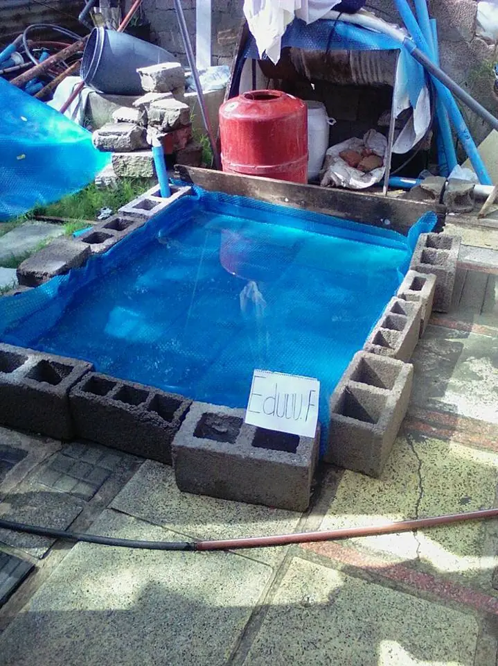 Un día normal en la vida de un taringuero triunfador..