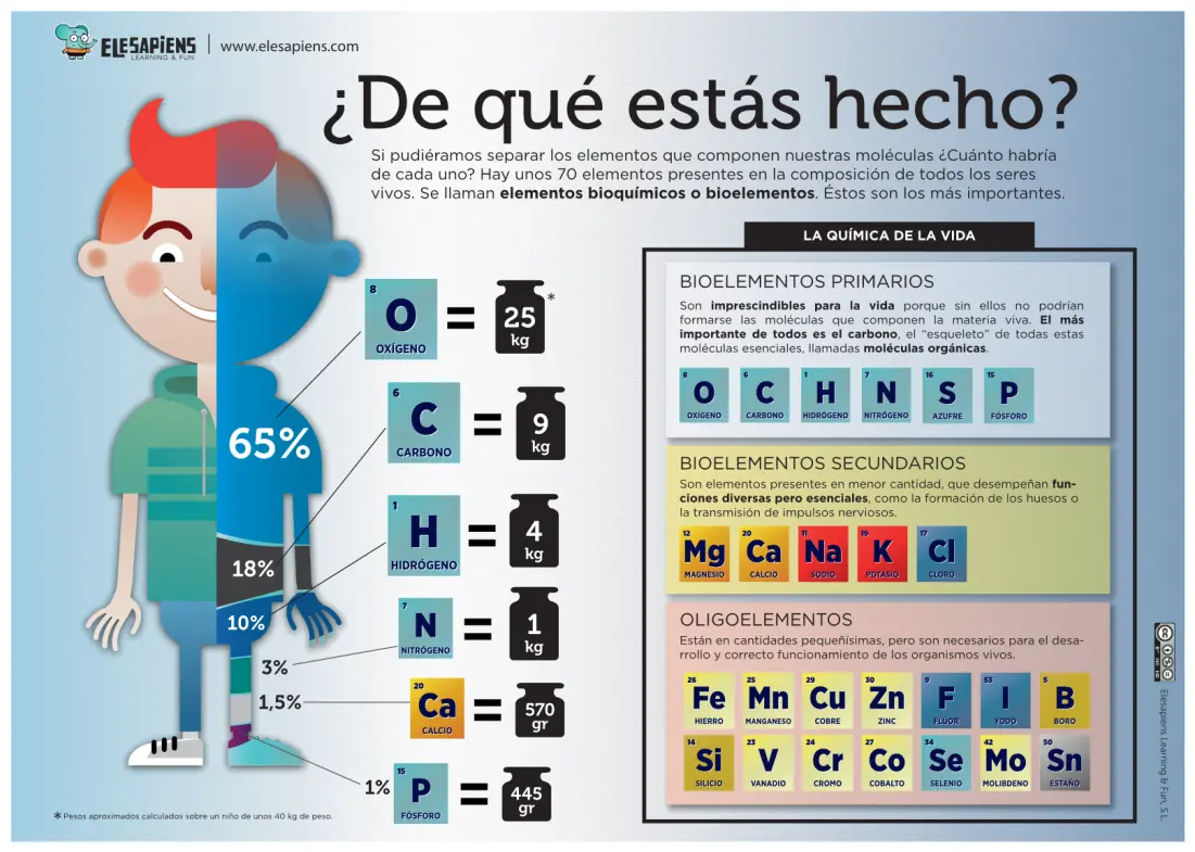 Ciencia Ciencia