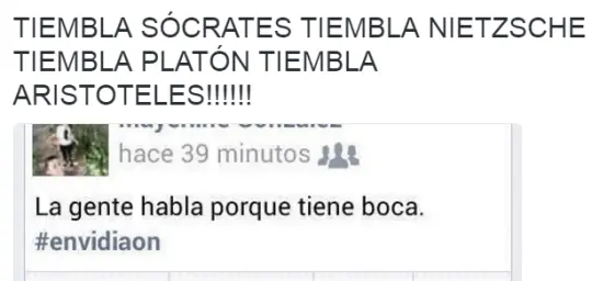 REITE