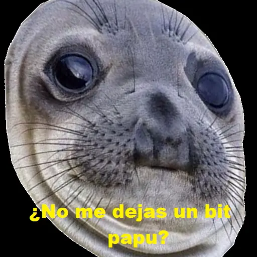 bitcoins