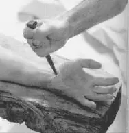 ¿Los judíos mataron a Cristo?