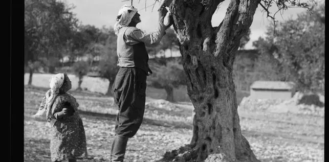 Cómo era el pueblo palestino antes de 1948