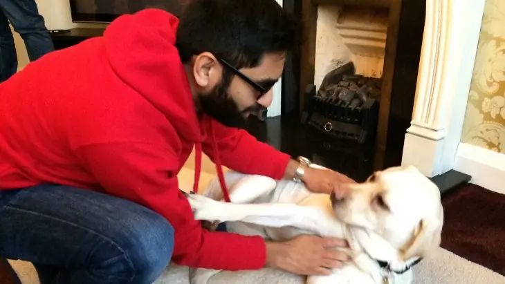 Ciego colocó GoPro a su perro guia y grabó la indiferencia