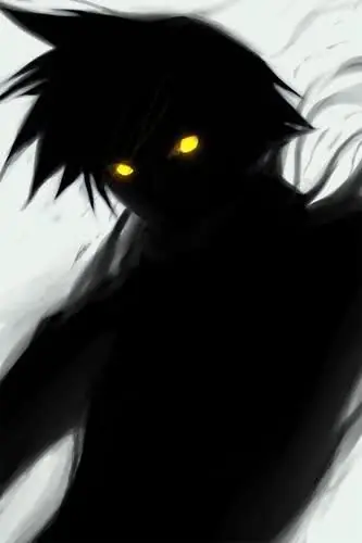 The Demon Hunter