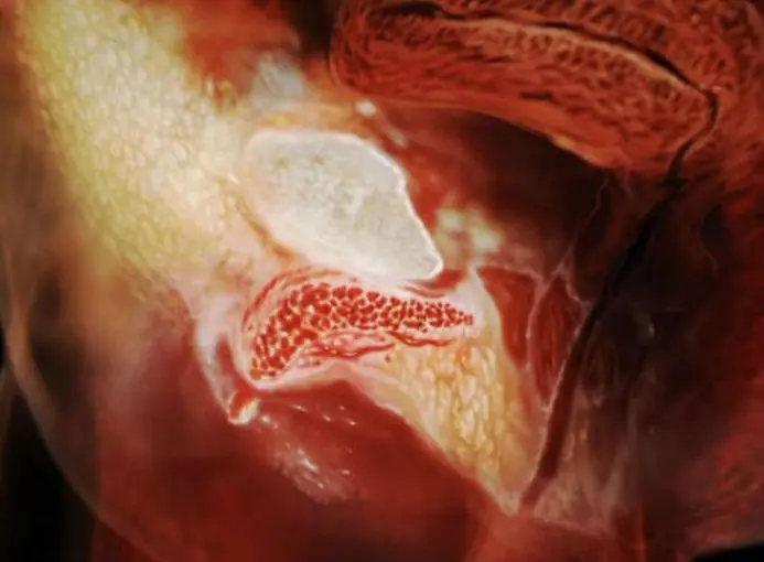 A si se ve tu cuerpo cuando tenes sexo