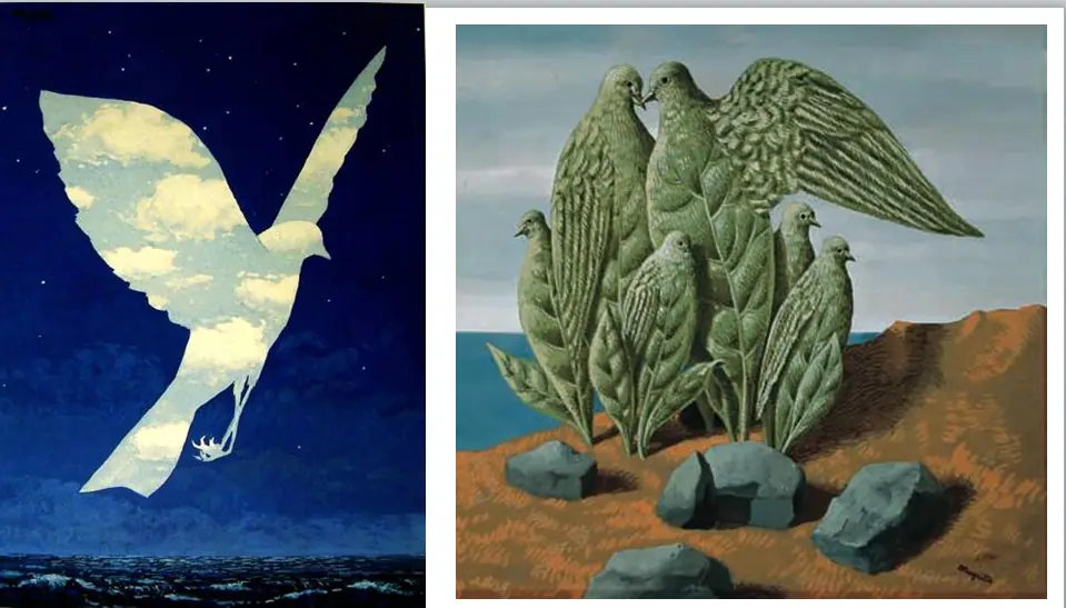 salvador dali