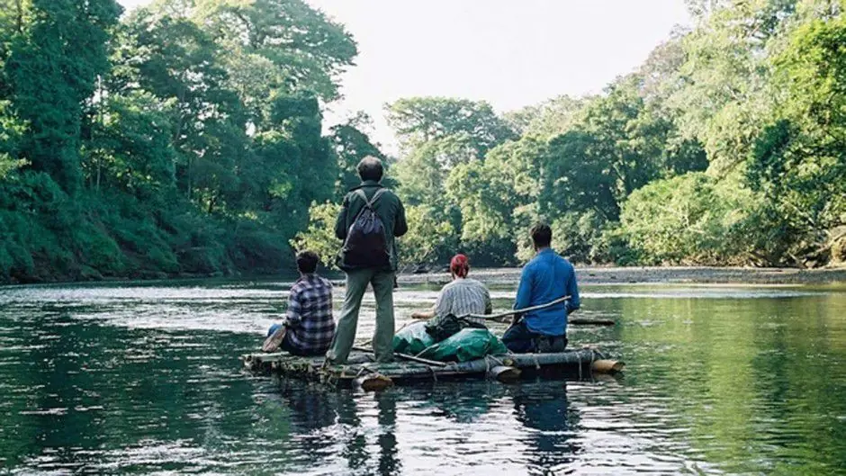 7 increíbles historias de supervivientes