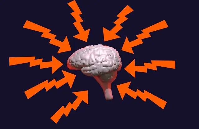 Cerebro