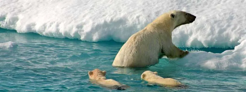 svalbard