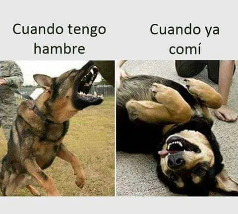 taringa
