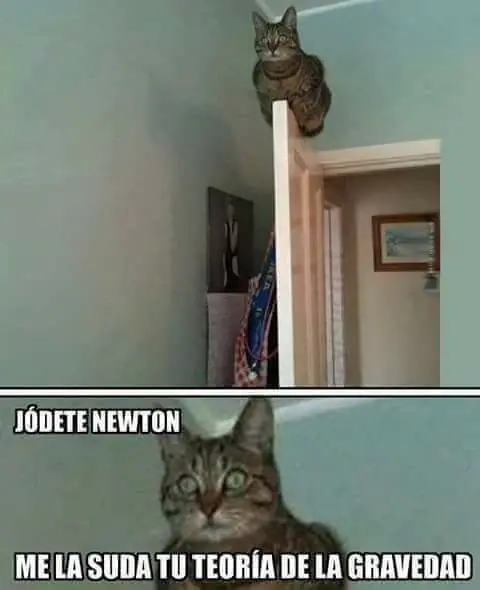 Funny