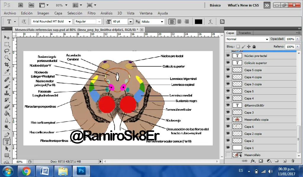 Escribí caps de un libro de neuro para nivel universitario