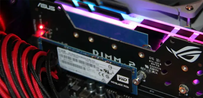 asus asus