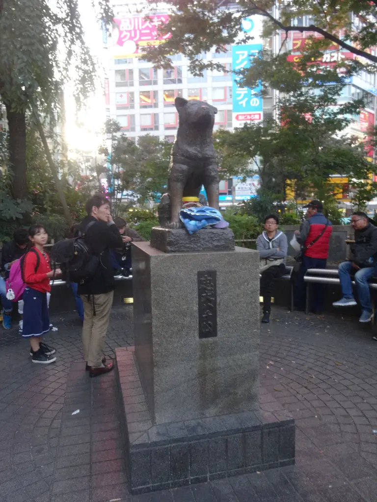 mi vida en japon