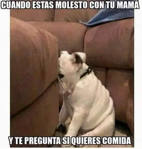 50 imagenes de Humor Lincesco #70