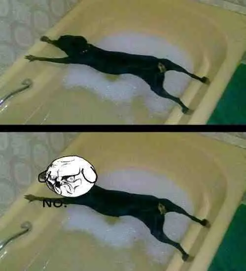 Funny