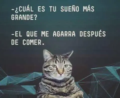taringa