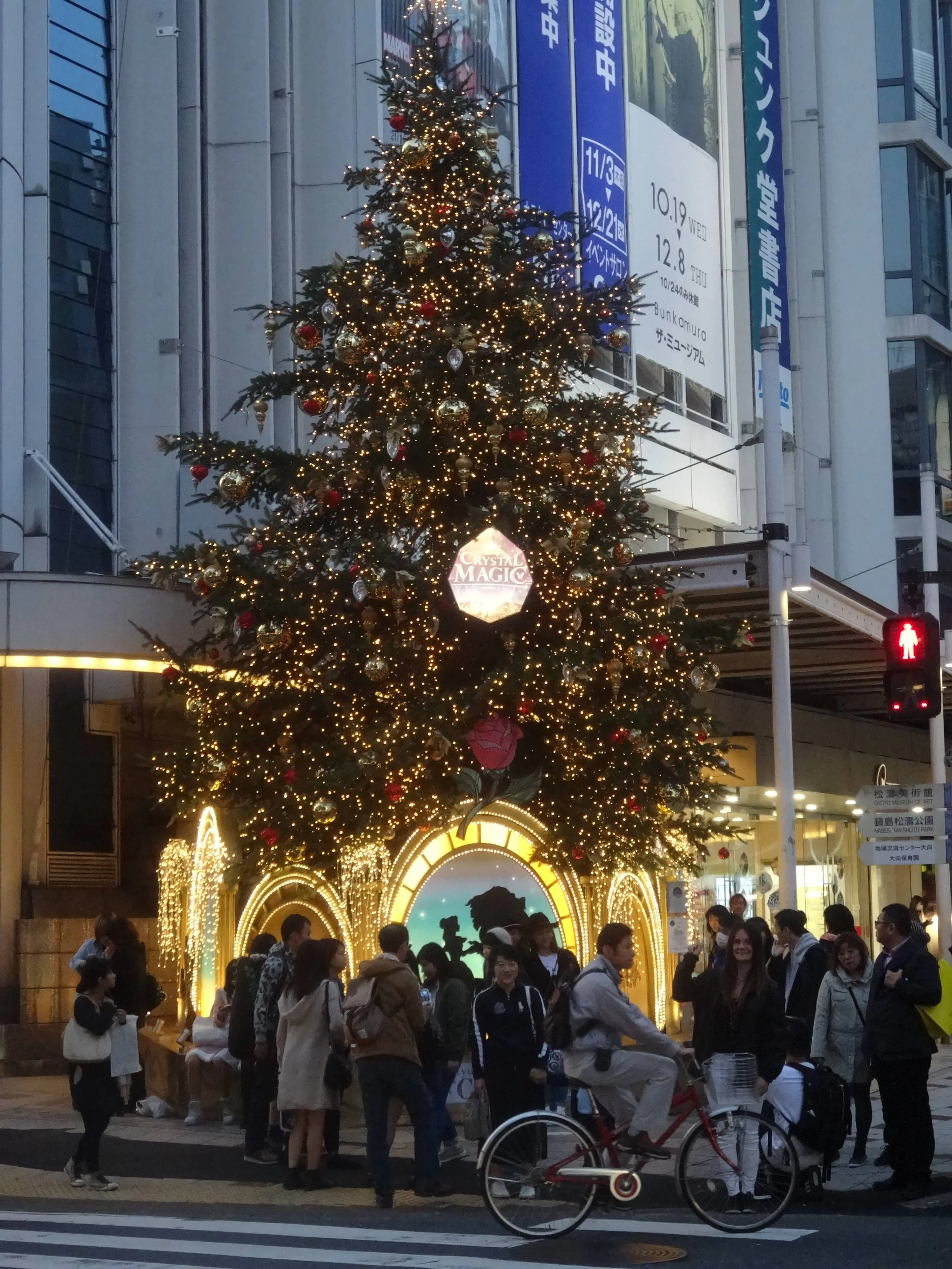 shibuya shibuya