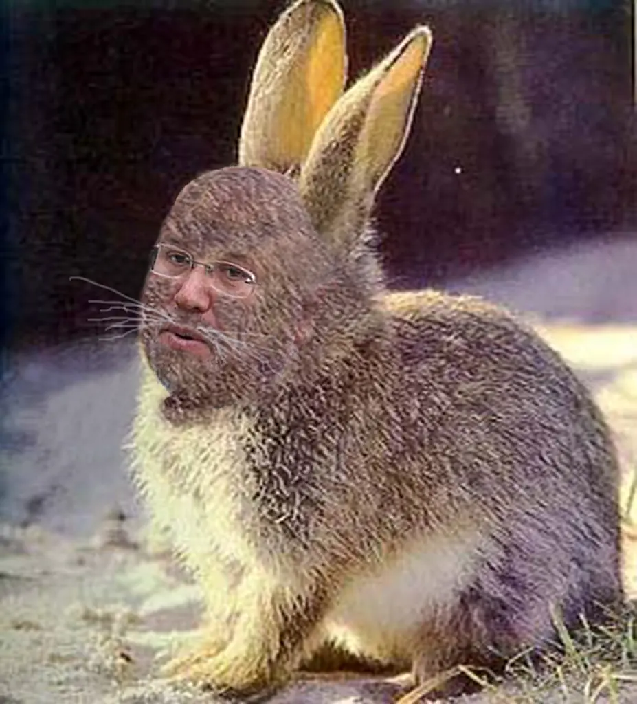 Me endiable virgocho