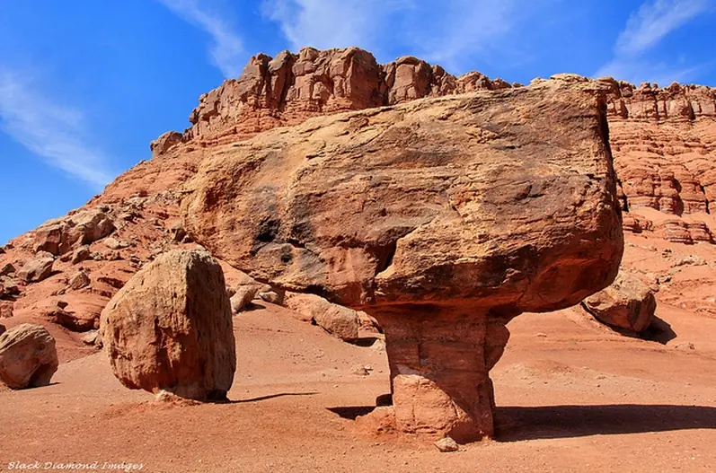 roca roca