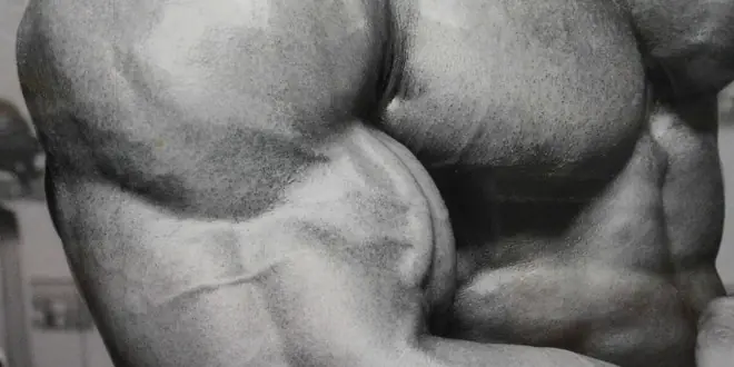 gimnasio
