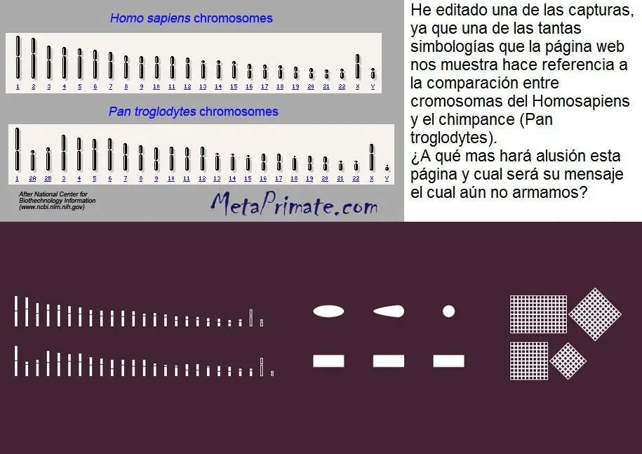 investigacion