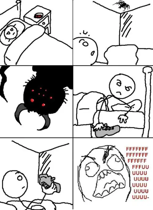 Gifs