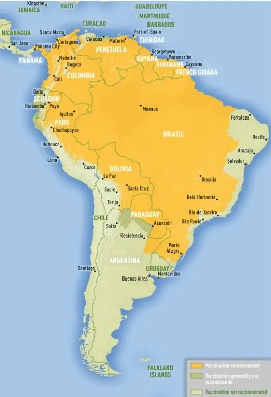 Brasil en el siglo XIX: ahora epidemia de Fiebre Amarilla