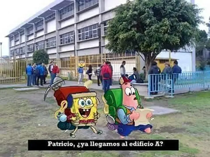 suceden