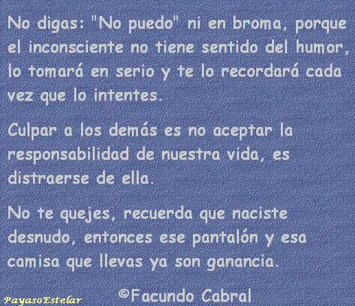 orgamos para cerebros