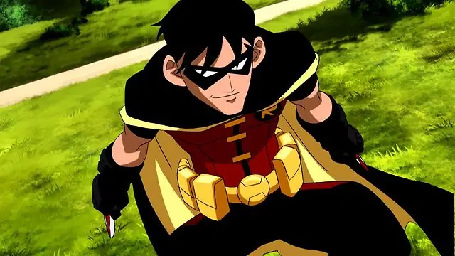Robin Robin