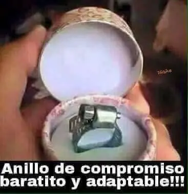 puerquito