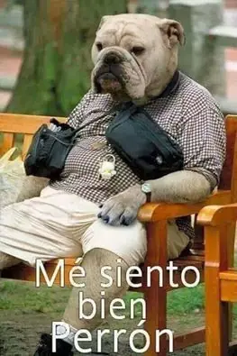 aburrido