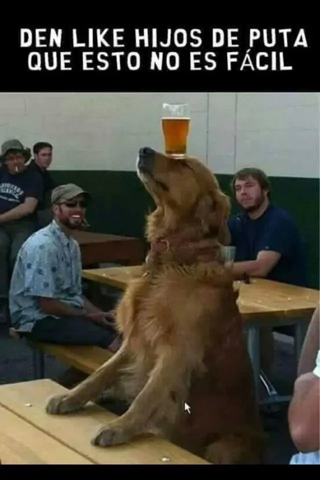 Giladas