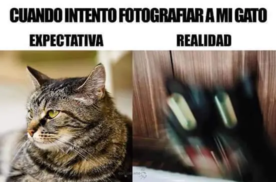 memazos