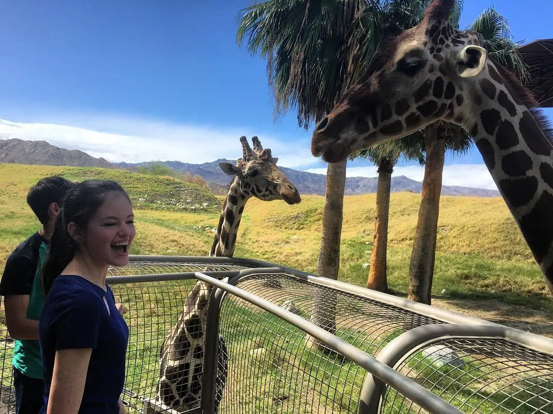 Mackenzie Foy, conoce mas sobre esta increible actriz