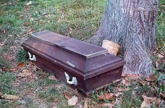 despegar