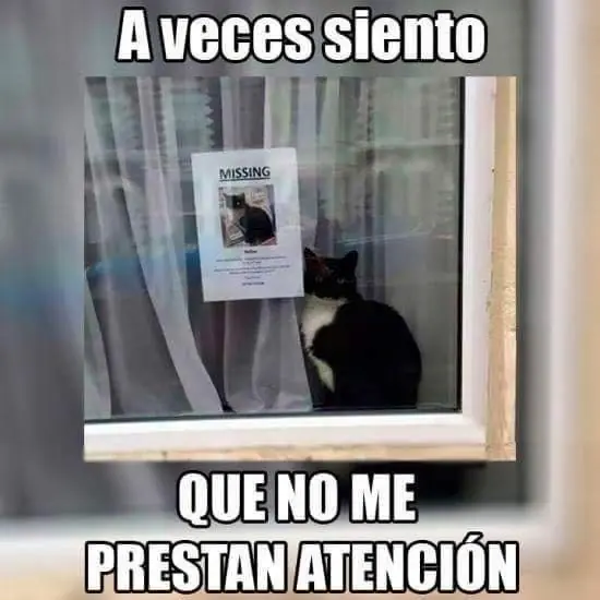 Humor