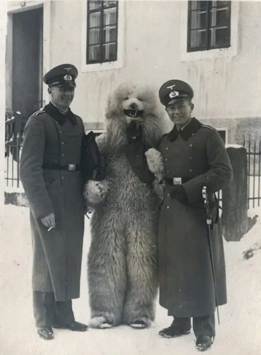 Fotos sobre la II Guerra que la historia no quiere que veas
