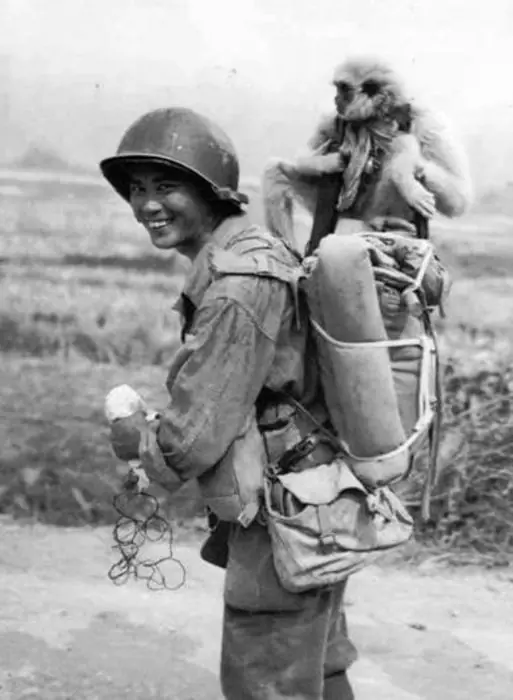 guerra